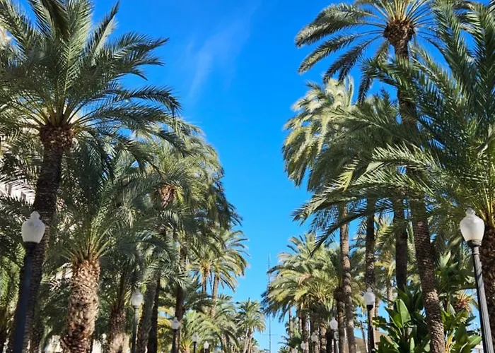 Appartement Your In Near Postiguet Beach! Alicante